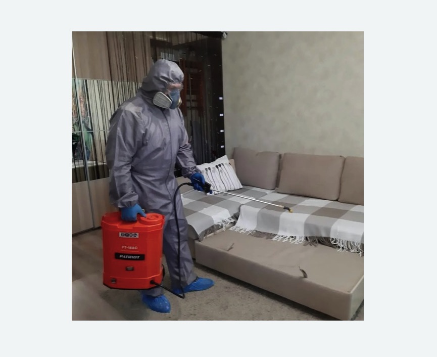 Обработка квартиры от блох в Северодвинске Обработка квартиры от блох