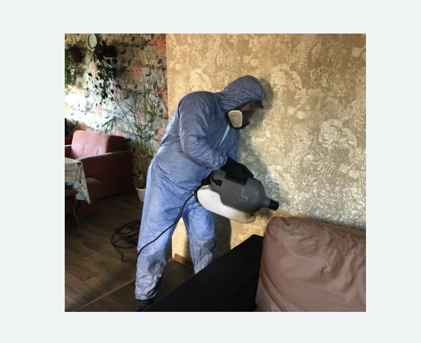 Уничтожение блох в квартире. Северодвинск Уничтожение блох в квартире